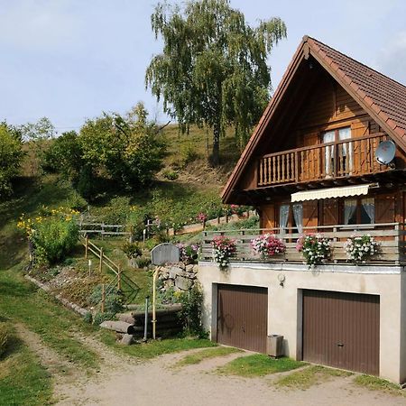 chalet-gite berbuche Sainte-Croix-aux-Mines Bagian luar foto