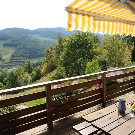 chalet-gite berbuche Sainte-Croix-aux-Mines Bagian luar foto