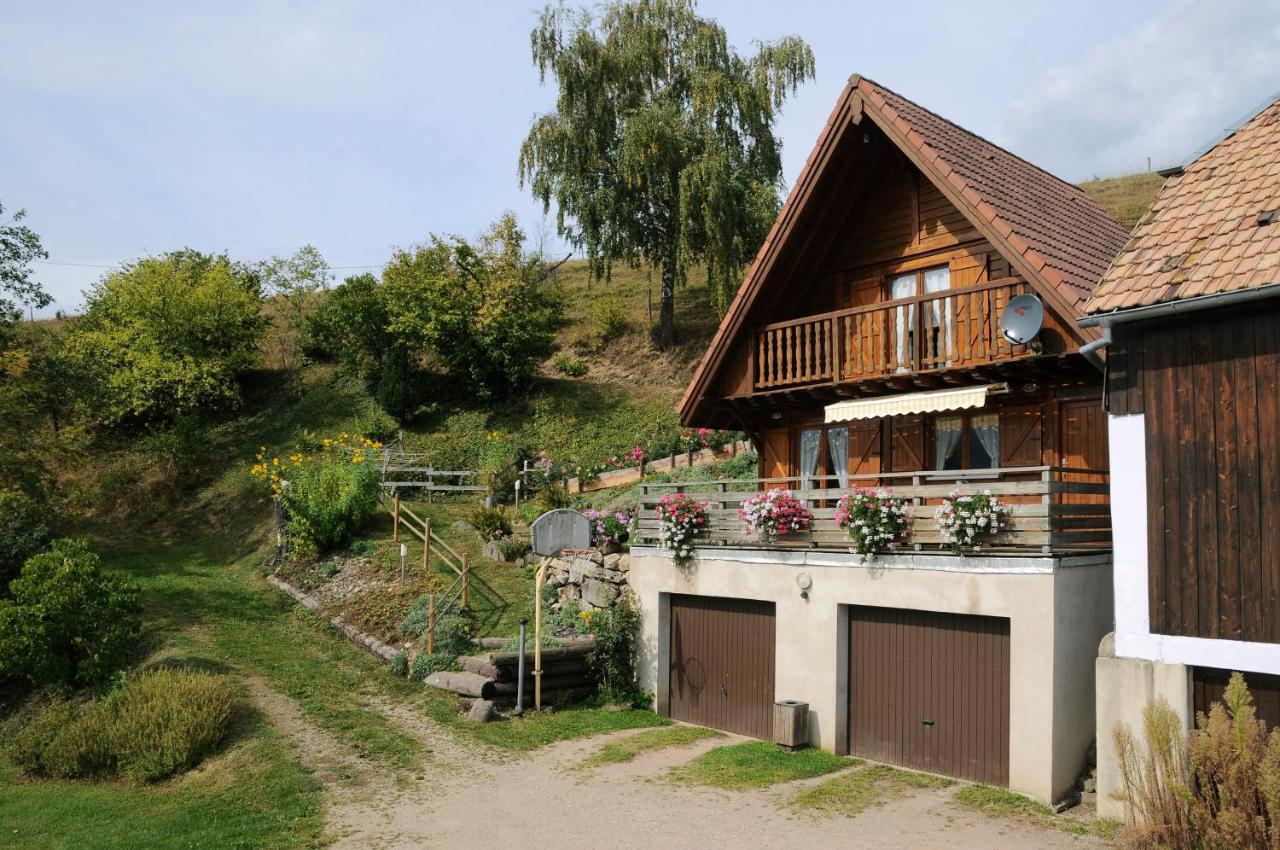 chalet-gite berbuche Sainte-Croix-aux-Mines Bagian luar foto