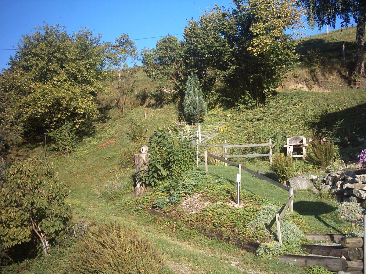 chalet-gite berbuche Sainte-Croix-aux-Mines Bagian luar foto